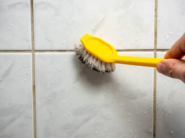 Best Certified Mold Removal  in North Kingsville, OH