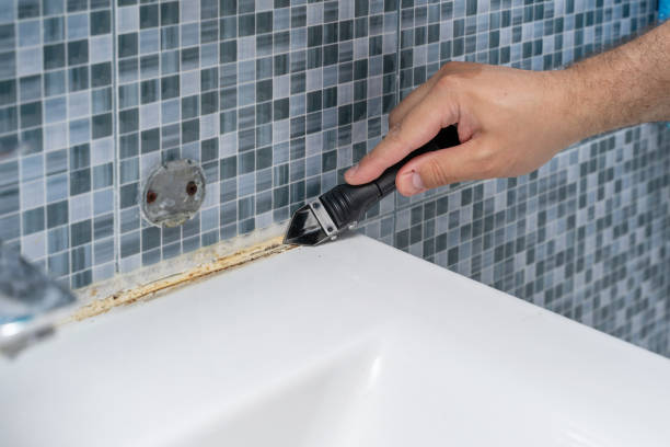 Best Office Mold Removal Services  in North Kingsville, OH